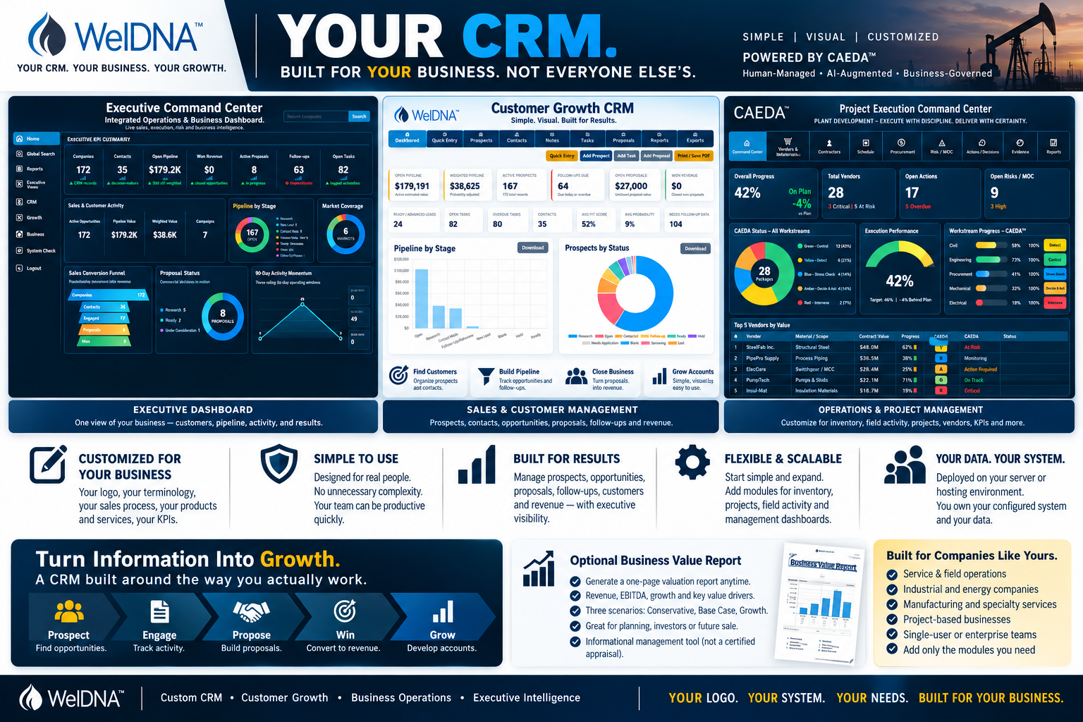 WelDNA custom CRM showcase with executive dashboards, customer growth, sales and operations views